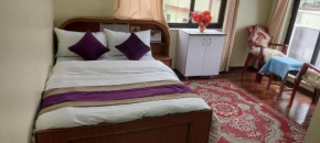 Kathmandu Airport View Hotel And Lodge